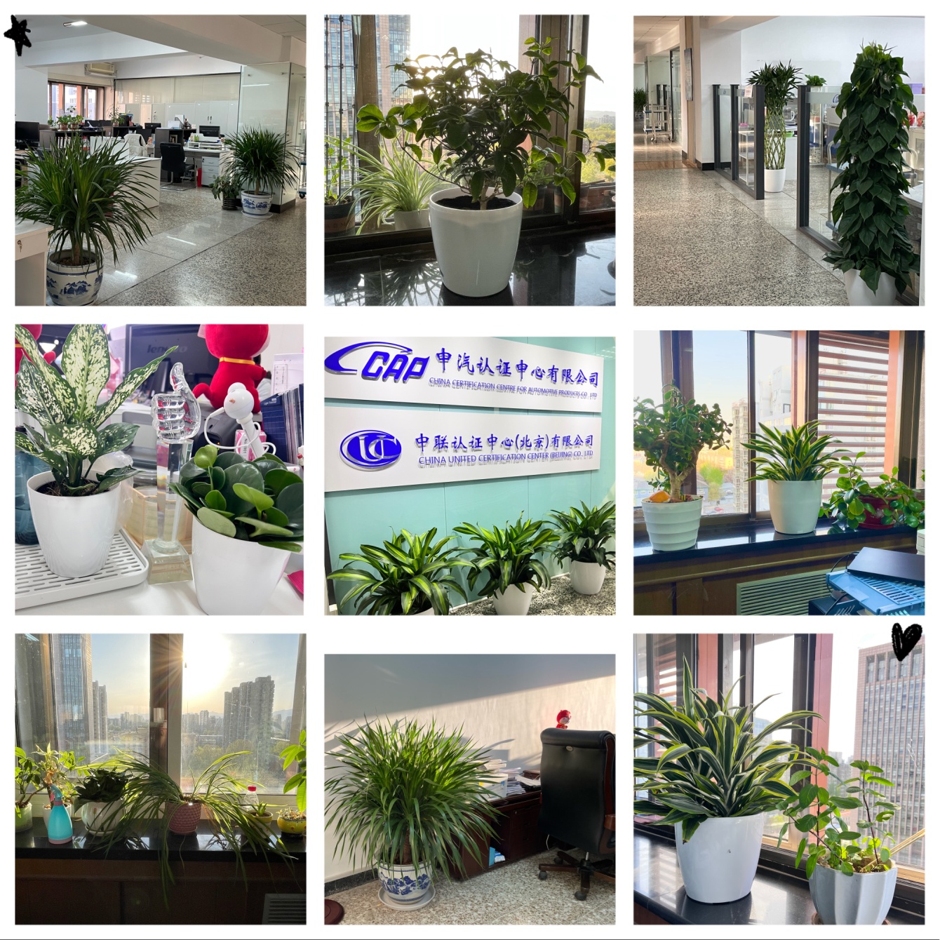 54102eeeabfb478189427441a44cf13 54102eeeabfb478189427441a44cf13